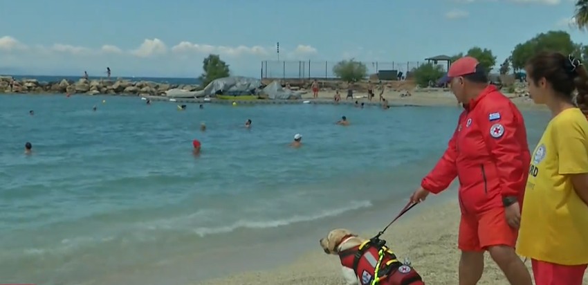 Prvi pas spasilac u Grčkoj