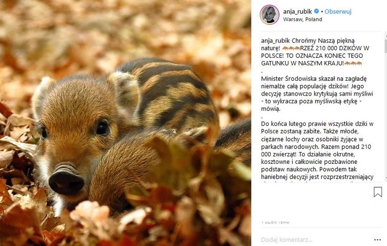 Anja Rubik w obronie dzików
