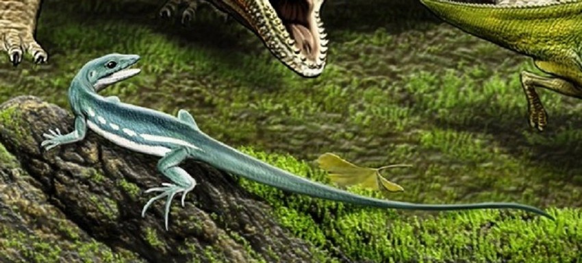 Liči na predsednika SAD