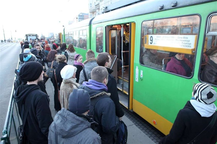 Zabierają nam kursy!