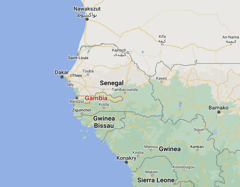 Gamia w Afryce Zachodniej