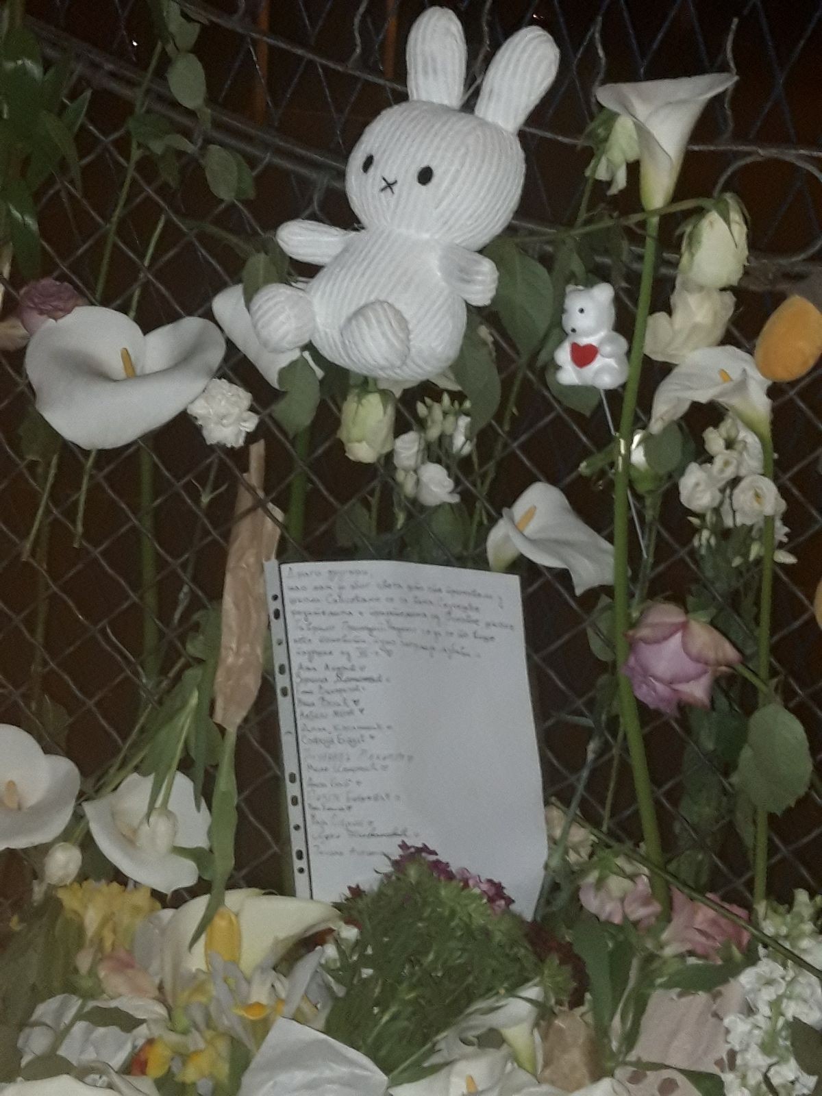 Škola "Vladislav Ribnikar"