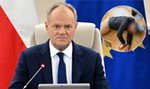 Donald Tusk przekazał nowe informacje po zabójstwie Rosjanina w Białej Podlaskiej