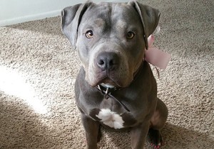 608023_pas-foto-instagram-prprincesss1020