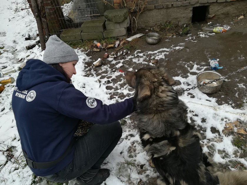 Pet Patrol Rybnik