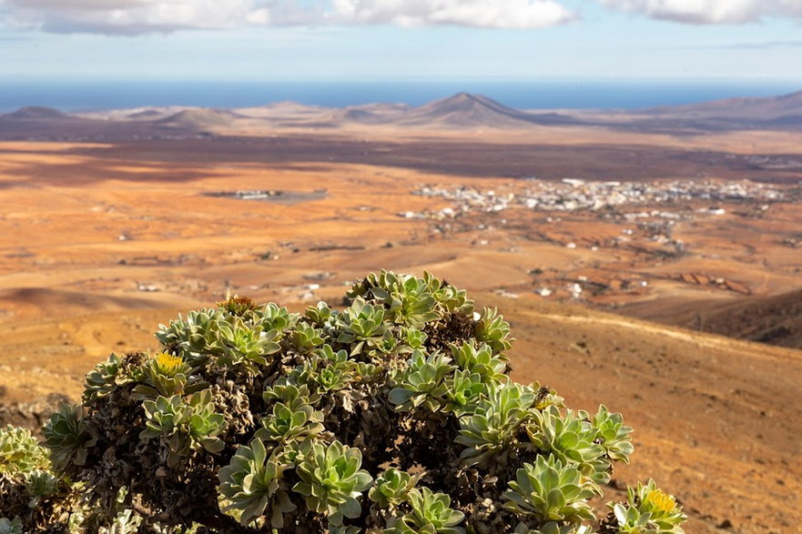 Fuerteventura