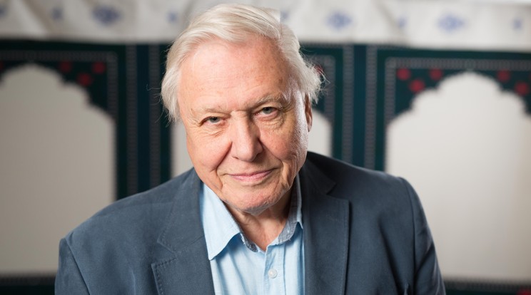 David Attenborough nevét viseli az új faj/Fotó:NORTHFOTO