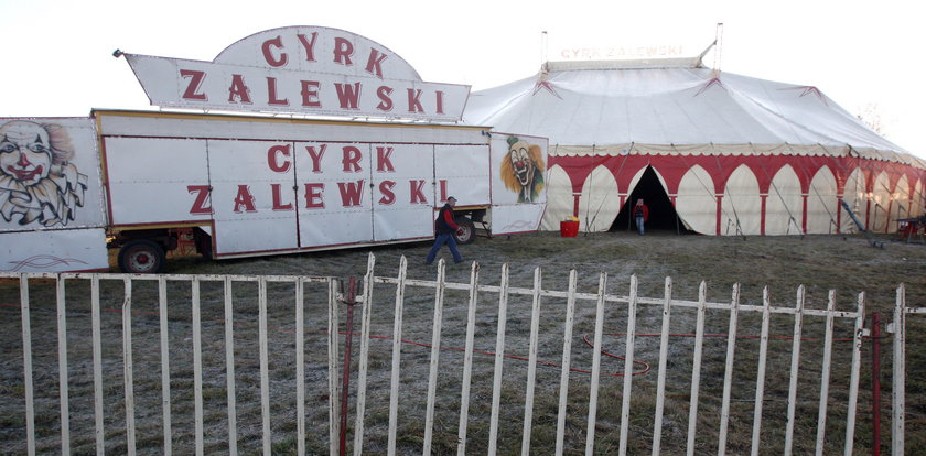 Wypadek w polskim cyrku. 15-letni akrobata na oczach widzów...