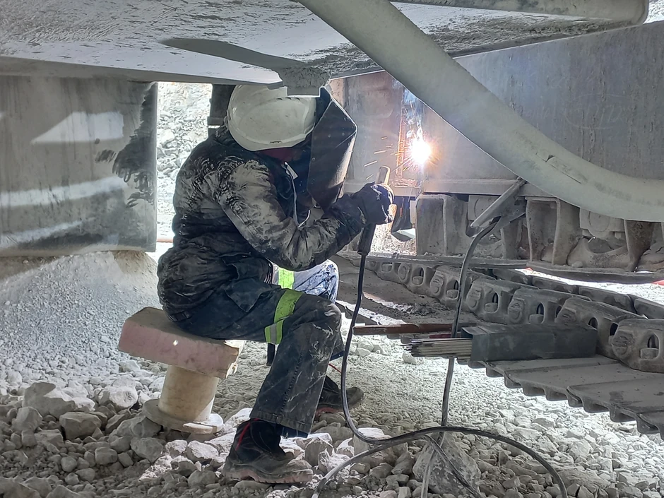 Jelena na radnom mestu