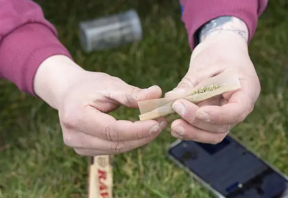 Legalizacja marihuany doprowadziła do wzrostu jej konsumpcji