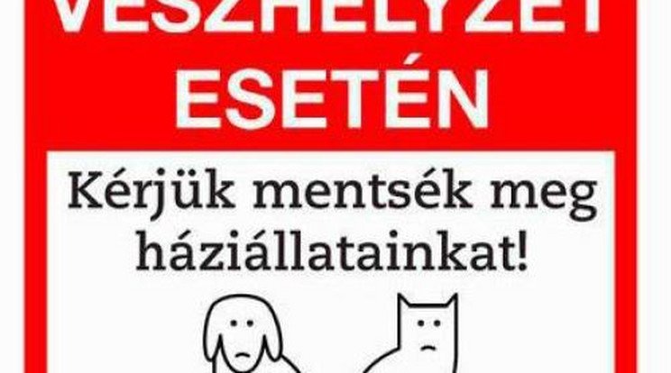 Matricákkal mentik a bajba jutott háziállatokat