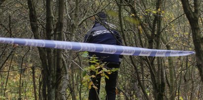 Spacerując po lesie zauważył stary koc. Gdy go odsłonił, zamarł