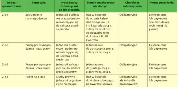 Obowiązki statystyczne firm w 2013 roku