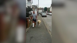 A szívbajt hozta a gazdájára bicegésével egy kutya, de kiderült, csak őt utánozza – videó