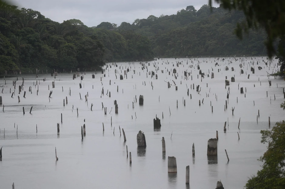 El Ninjo donosi sušu na nekim delovima planete, a padavine i poplave na drugim