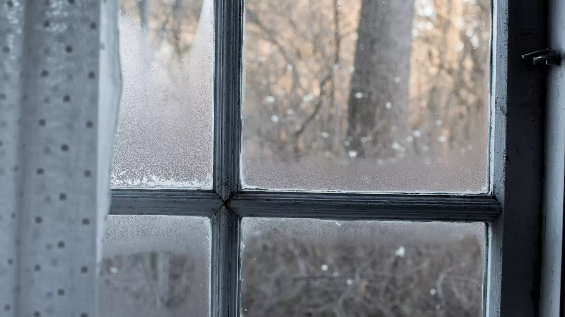 Zaparowane okna w domu — pomoże pochłaniacz wilgoci lub osuszacz powietrza