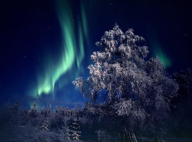 Galeria Finlandia - Zorza polarna, obrazek 7