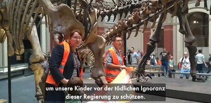 Aktywiści znów przykleili się w muzeum. "Wyginiemy jak dinozaury"