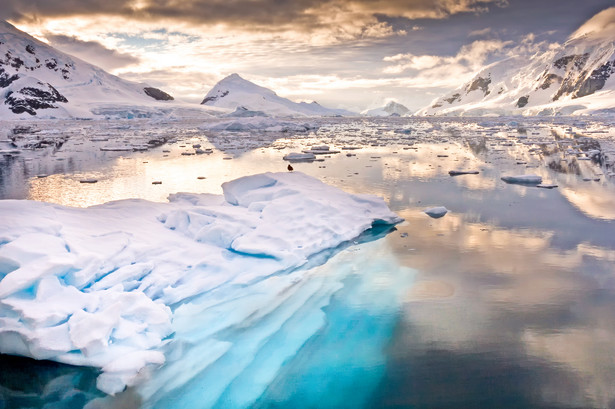 "Zmieniająca się Antarktyda to zła wiadomość dla naszej planety"