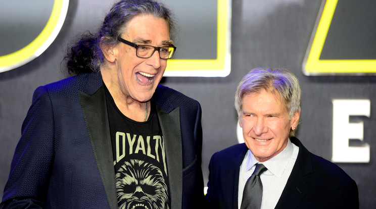 Peter Mayhew, vagyis Chewbacca (balra) és Harrison Ford, vagyis Han Solo (jobbra) /Fotó: Northfoto