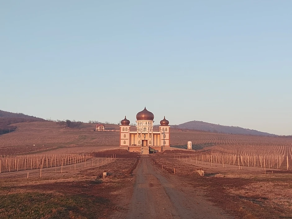 Dvorac Rodoljuba Draškovića