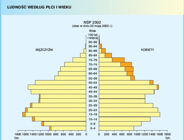 Według spisu powszechnego z 2002 r. liczba ludności Polski wynosiła 38 mln 230 tys. osób. Na piramidzie wieku i płci, w najmłodszych rocznikach, wyraźnie zaznaczał się niż demograficzny. Liczne pokolenie urodzone w drugiej połowie lat 80. XX wieku nie osiągnęło jeszcze pełnoletności.
