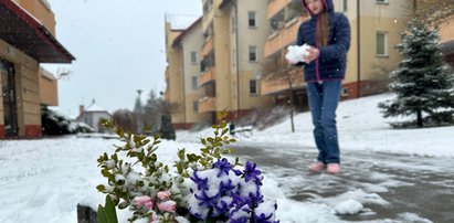 Armagedon w kwietnikach i na lokalnych drogach. Atak zimy na Podkarpaciu!