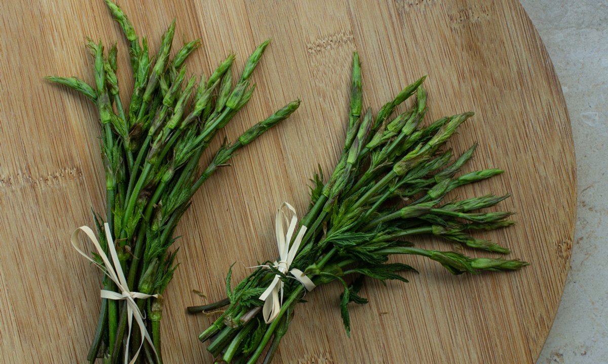 W Polsce uchodzi za chwast. Na świecie za pędy tego warzywa płacą fortunę