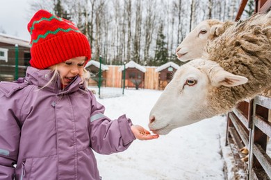Ferie zimowe 2026: nie Zakopane czy Karpacz, ale mniejsze ośrodki są tym razem na topie u wypoczywających zimą