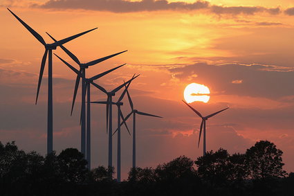 Niemcy pobiły kolejny rekord w produkcji energii ze źródeł odnawialnych