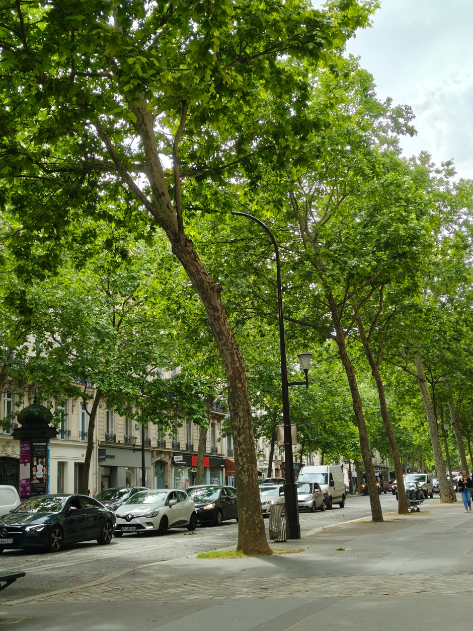 Slikano Realme GT 7T telefonom