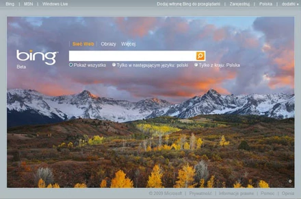 Za pomocą Binga Microsoft chce w końcu znaleźć klucz do sukcesu. (Fot. Chip.pl)