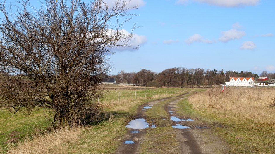 Pogoda długoterminowa na marzec. Dwa okresy ochłodzenia