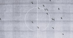 Piorun trafił piłkarza w trakcie meczu. 30-latek zmarł w szpitalu [WIDEO]