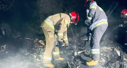 Horror na terenie ogródków działkowych w Kielcach. Odkryto trzy ciała