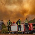 Teneryfa w ogniu. Spłonęła ponad połowa drzewostanu wyspy