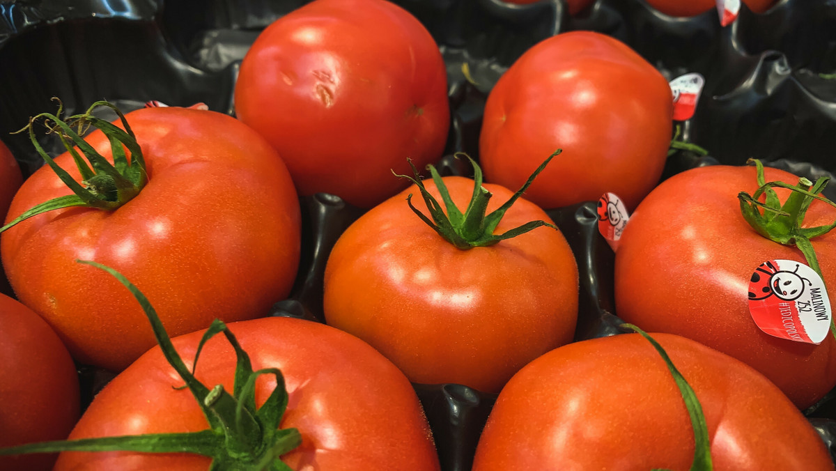 Ile kosztują pomidory w sezonie. Cena ją zaskoczyła