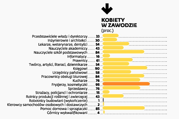 KOBIETY W ZAWODZE. Nie jest zaskoczeniem, że najbardziej zdominowanymi przez kobiety grupami zawodowymi w Polsce są fryzjerzy i kosmetyczki. Aż 95 proc. przedstawicieli tej grupy to kobiety. Wyjątkowo sfeminizowanymi profesjami są także zawody księgowego (90 proc. kobiet), sprzątaczki i pomocy domowej (85 proc.), pracownika obsługi biurowej (84 proc.), a także nauczyciela szkoły podstawowej (84 proc.). Najmniej kobiet pracuje w zawodzie pracownika budowlanego (1 proc.), kierowcy samochodów osobowych i dostawczych (2 proc.) i górnika (4 proc.).