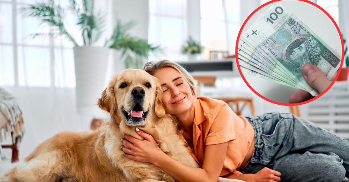 Pies kosztuje? Nie wszędzie! Sprawdź, kto zapłaci opłatę w 2026 roku