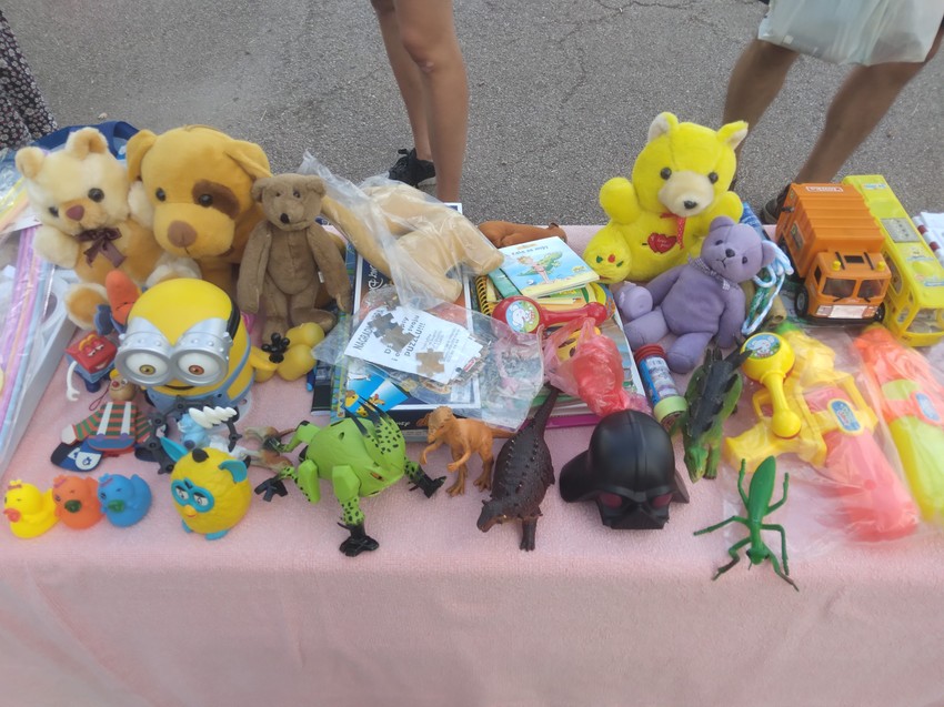 Za Laninu životnu bitku