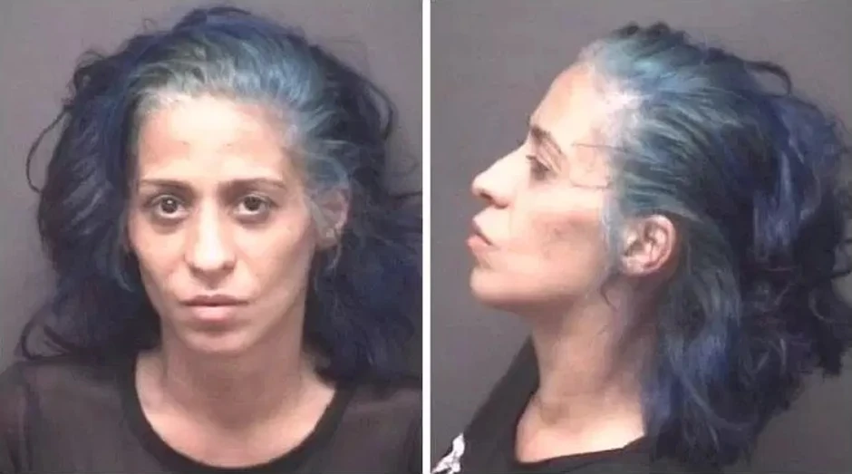 Sirs Bajes nakon hapšenja