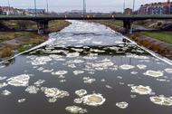 Śryż zwany inaczej lodem prądowym na rzece Warcie w Poznaniu
