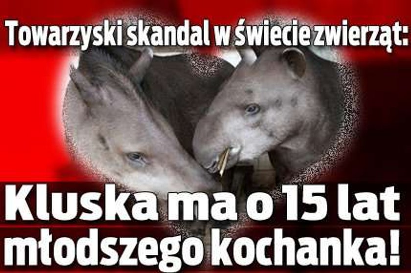 Skandal w ZOO: Kluska ma o 15 lat młodszego kochanka