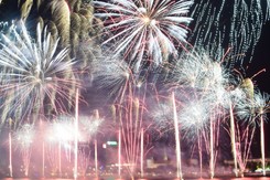 Nie strzelaj w sylwestra! Apel radnych i leśników