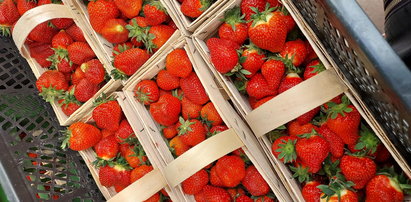 Jak kupić najlepsze truskawki? Polskie, holenderskie, czy greckie? Prosty test zdradza prawdę o tych owocach. VIDEO