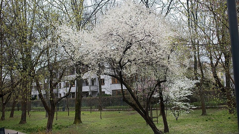 źródło: bo.um.warszawa.pl