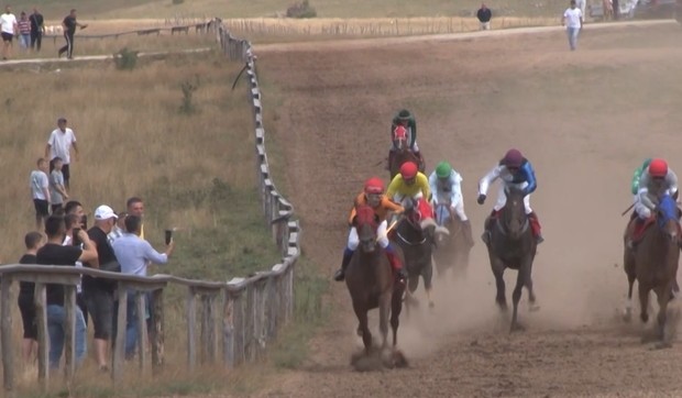 Konjičke trke na Pešteru