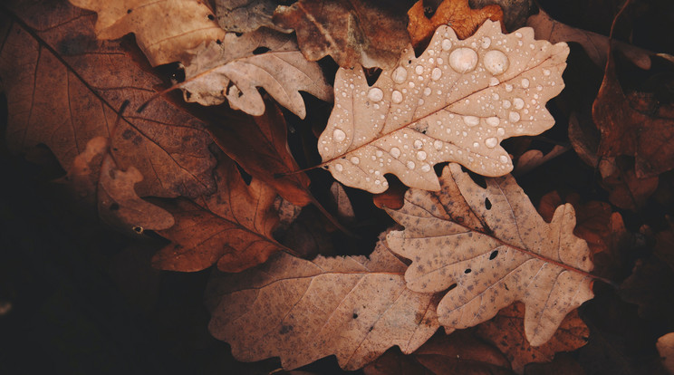 Igazi változékony őszi időjárás lesz ma /Illusztráció: Pexels