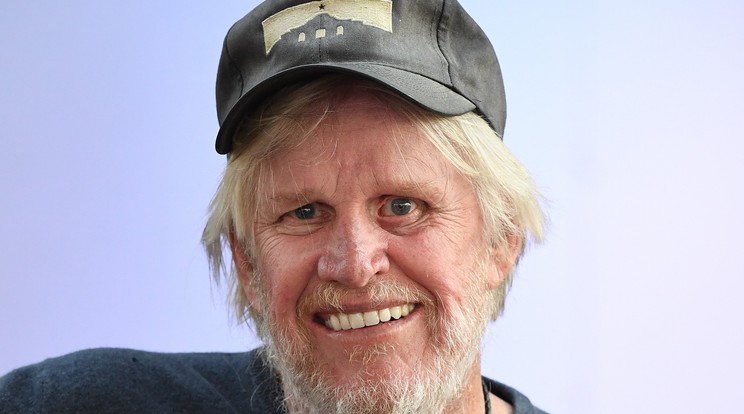 Gary Busey/Fotó:  GettyImages  