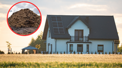 Nowy obowiązek dla właścicieli nieruchomości: obowiązkowe oświadczenie o świadomości możliwych uciążliwości związanych z działalnością rolniczą prowadzoną w sąsiedztwie